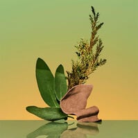 ETERNITY For Men EDP  100ml-187845 ETERNITY For Men EDP  100ml-187845 3